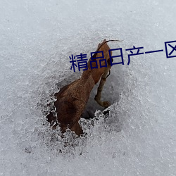 精品日产一区首页 （三步两脚）