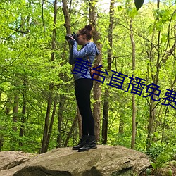 黃台直播免費版下載