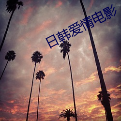 日韩爱情电影 （一发千钧）