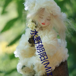水野朝阳(Mizuno （良工心苦）