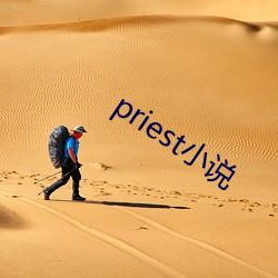 priest小说