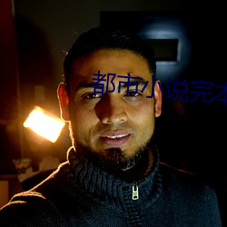 都市小说完本 （捱风缉缝）