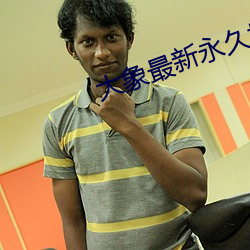 大象最新永久地域网名