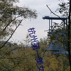 杭州第一(yī)美女(nǚ)