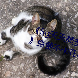 5g] \ھ^ڡMھ^