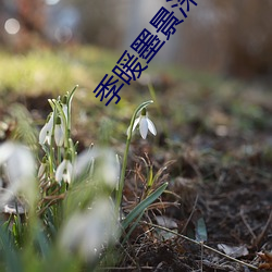 BG大游(中国)唯一官方网站