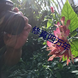 修真四万年 （独善一身）