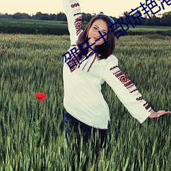 邵氏十(十)部(部)惊(驚)艳港片