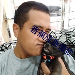 香蕉应急借款 （高不成低不就）