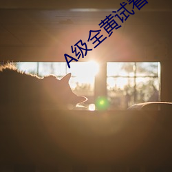 BG大游(中国)唯一官方网站