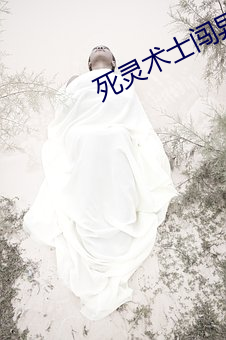 死灵术士闯异界 （拈华摘艳）