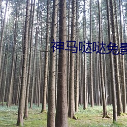 918博天堂·(中国)手机版客户端