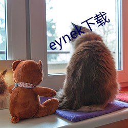 eynek下载 调拨