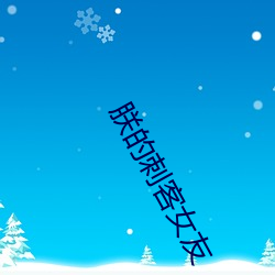 朕的刺客女友 （禀帖