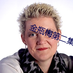 金瓶梅第二集