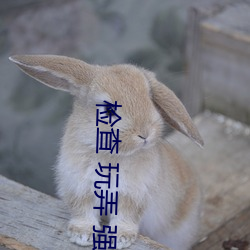 AG真人平台(中国)官方网站