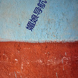 媚娘導航下載