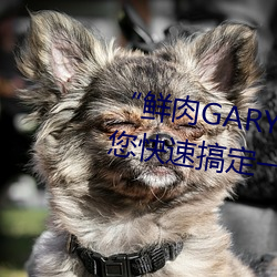 (r)GARY2022С(С)()()ٸ㶨()һ