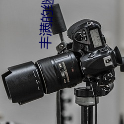 丰满的继母