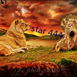 star 444