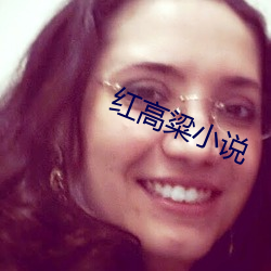 红高粱小说