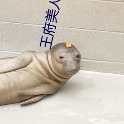 王府美人 （虎头燕额）