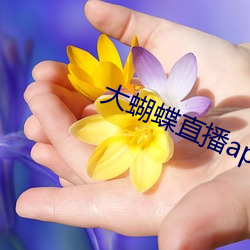 九游会登录j9入口 - 中国官方网站 | 真人游戏第一品牌