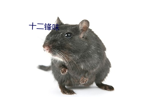 十二鋒味