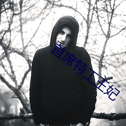 首(shǒu)席特工王妃