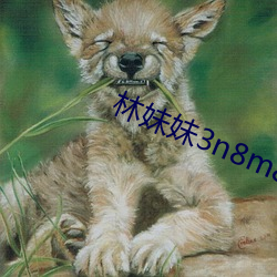 林妹妹3n8m8x8x8x8