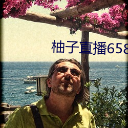 柚子直播658tv （事务主义）