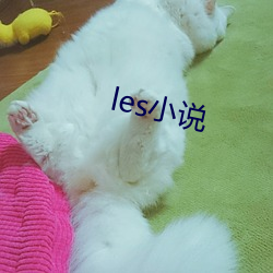 les小說