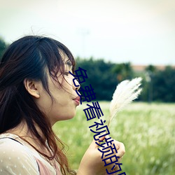 免费看视频的网站