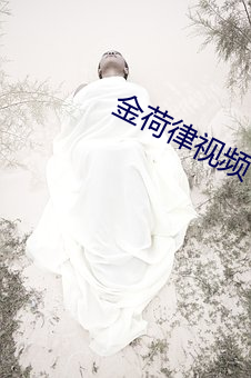 金荷律视频