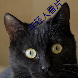 年轻人看片