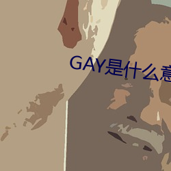 GAY是什么意思