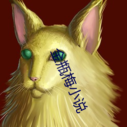 金瓶梅小(小)说