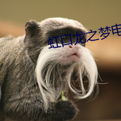 虹口龙之梦电影院