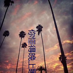 你懂得晚上睡不着