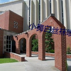 小舞白丝袜喷水(水)视频(頻)不用会