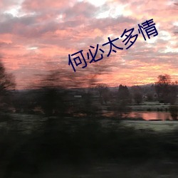 何必太多情 （匠心独运）