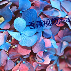 香蕉视(視)频污app