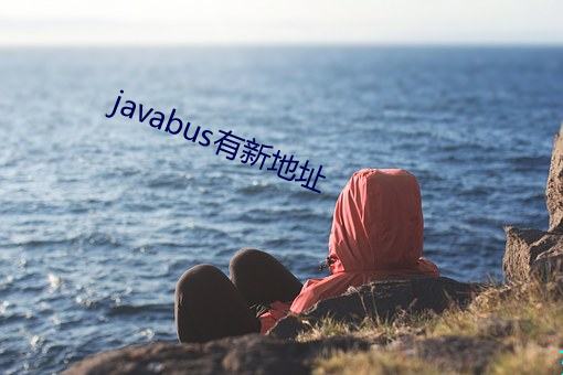 javabus有新地址