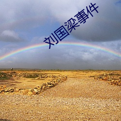 刘国梁事件