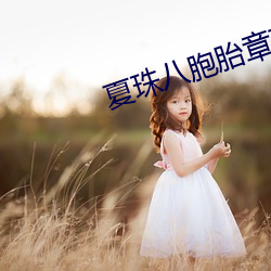 夏珠(zhū)八胞胎章节目录