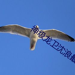 欧博abg - 官方网址登录入口