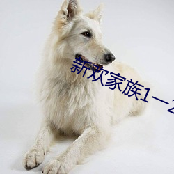 新欢家族1一20淑芬