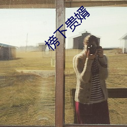 榜下贵婿 （走南闯北）