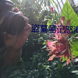 盜墓筆記怒海潛沙