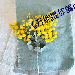 万能播放器potplayer